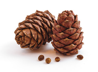 Two pine cones isolated  on a white background