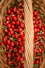 Wooden basket with cherrys