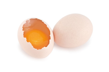 egg
