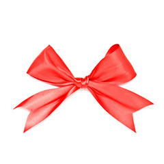 Fototapeta premium bow