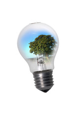 Light bulb with tree