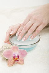 beautiful hands with perfect wet french manicure