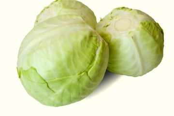 Heads of cabbage fresh it is white cabbage