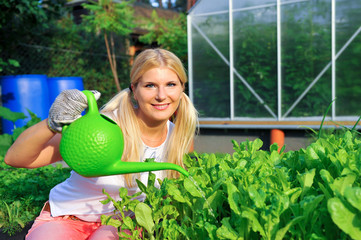 Young woman gardening and watering salad plant