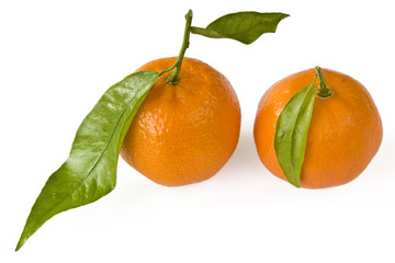 Mandarinen mit Blatt isoliert