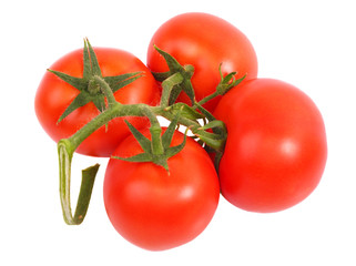 Tomato