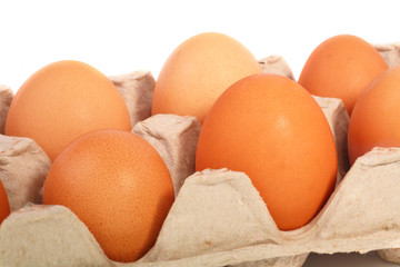 Eggs