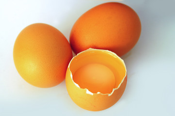 egg