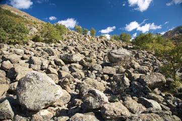 slope full of rocks