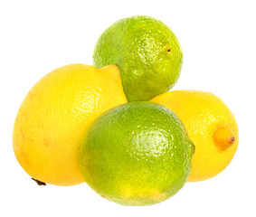 Limes and lemons.