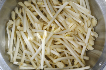 fresh bean sprout