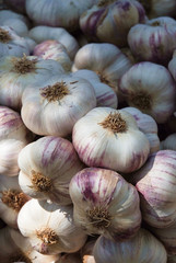 marché Provencal étalage d'ail