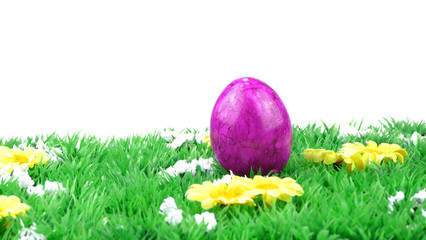 lila Osterei auf Blumenwiese II
