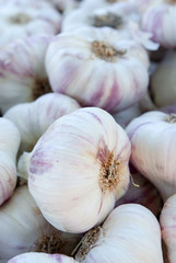 marché Provencal étalage d'ail