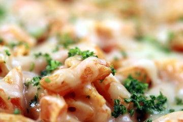 pasta with tomatoes sauce  close up