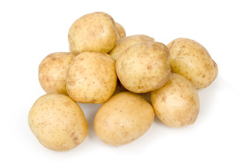 Several spuds on white background. Isolate