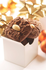 Chocolate Christmas Biscuits