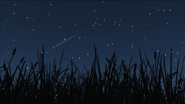 stars twinkle, a shooting star cross over the sky.