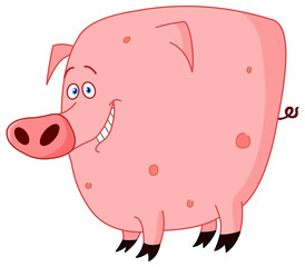 cute pig