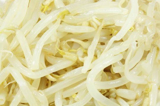 Sojasprossen