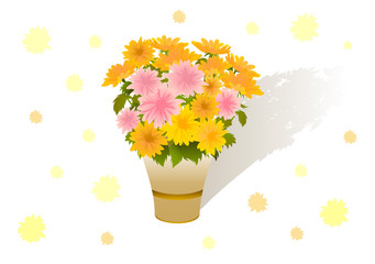 Bouquet of beautiful yellow and pink asters. Vector illustration