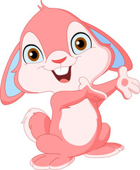 Cute bunny