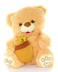 plush Teddy Bear