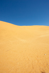 Desert landscape