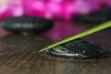bloom and stone on wood