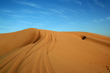 Fototapeta na wymiar wüste dubai