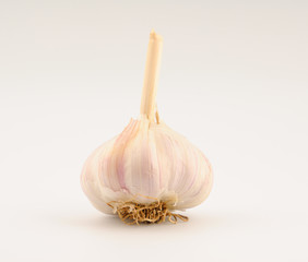 Garlic Bulb