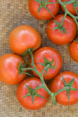 Tomatoes in a basket..