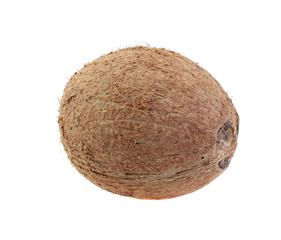 coco, isolated.