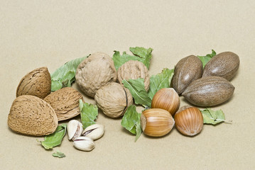 Frutos secos maduros.