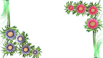 cornice fiori © Salvatore Billeci