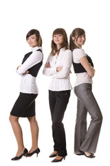 Fototapeta premium Business team