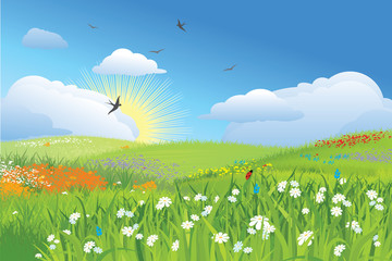 Obraz premium Colorfull meadow / flower and grass / vector