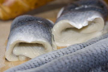 rollmops