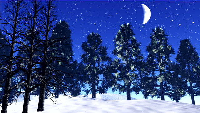 stars twinkle, snow fall, trees shake in wind