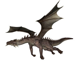 Fototapeta premium Dragon
