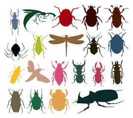 insect icon