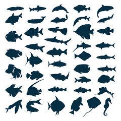 Fototapeta premium fish icon