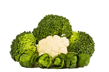 cabbage