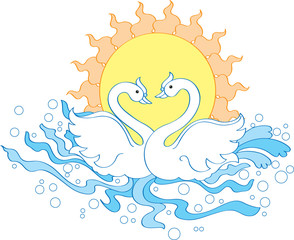 Bird Pair romancing in water.