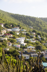 residential neighborhood on mountain bequia st. vincent