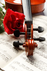 Violin and rose