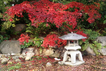 A stone lantern in a Japanese ornamnetal garden