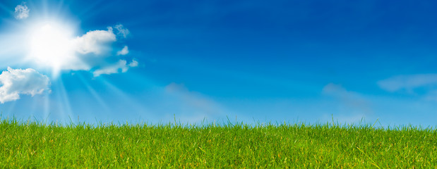 ciel bleu soleil et herbe verte - paysage vert - prairie