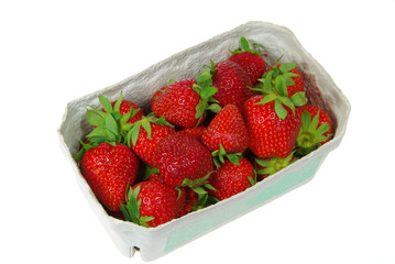 Erdbeere - strawberry 1