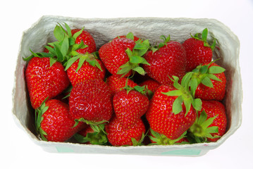 Erdbeere - strawberry